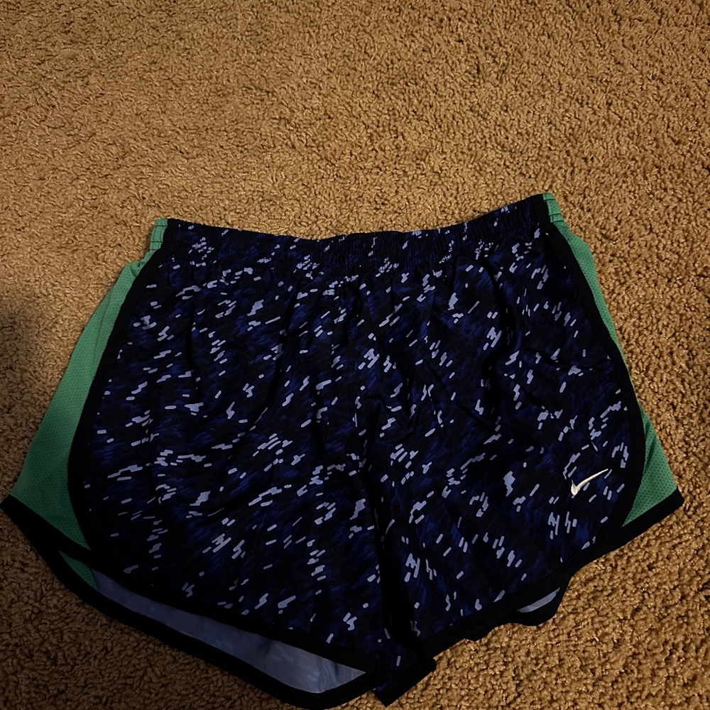 Nike Shorts in Blue and Green